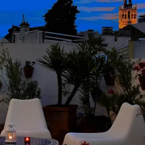 Un Patio En Santa Cruz Seville